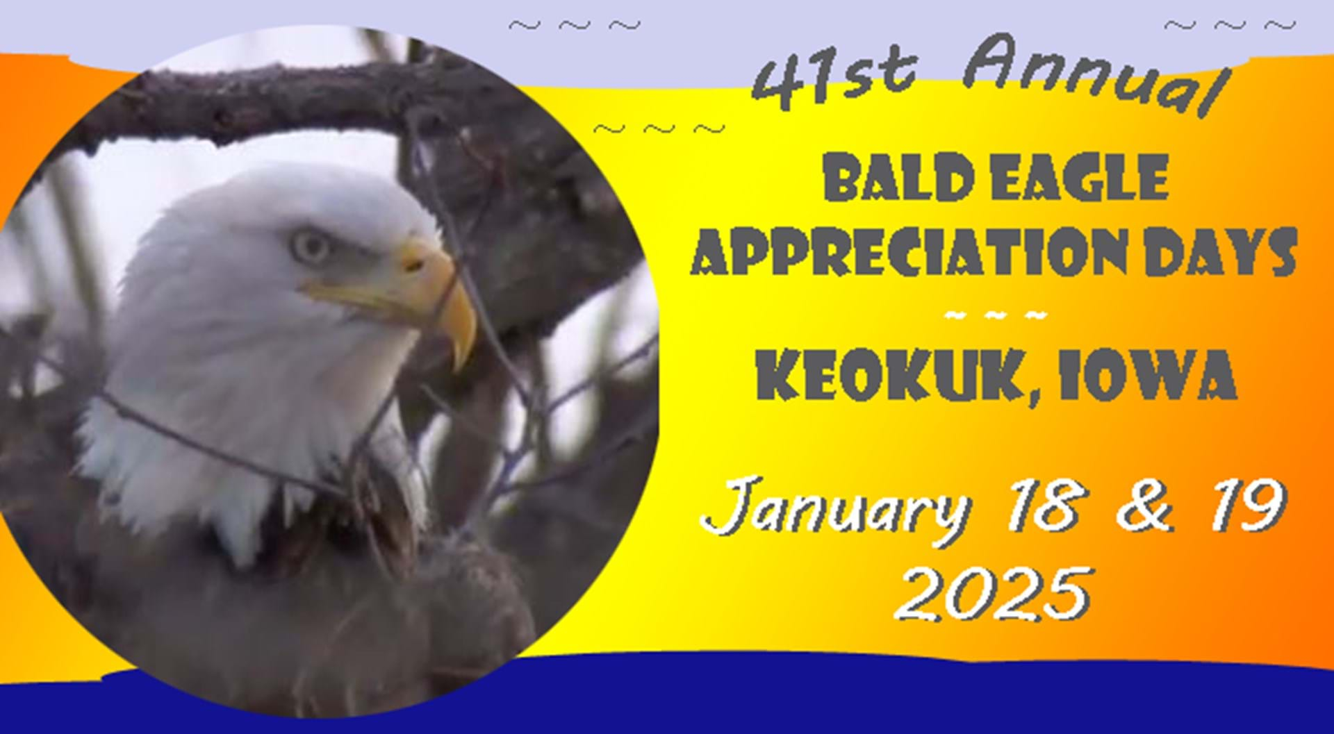 Bald Eagle Appreciation Days in Keokuk, Iowa